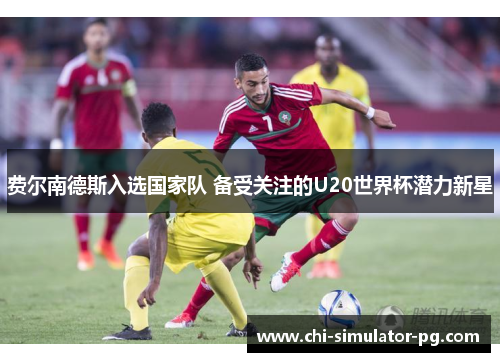 费尔南德斯入选国家队 备受关注的U20世界杯潜力新星
