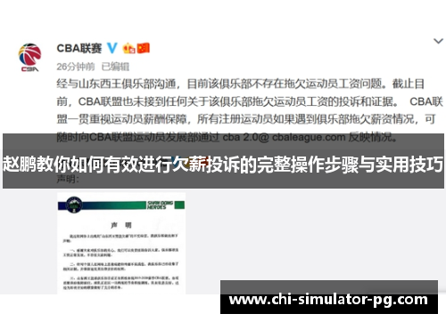 赵鹏教你如何有效进行欠薪投诉的完整操作步骤与实用技巧 赵鹏教你如何有效进行欠薪投诉的完整操作步骤与实用技巧