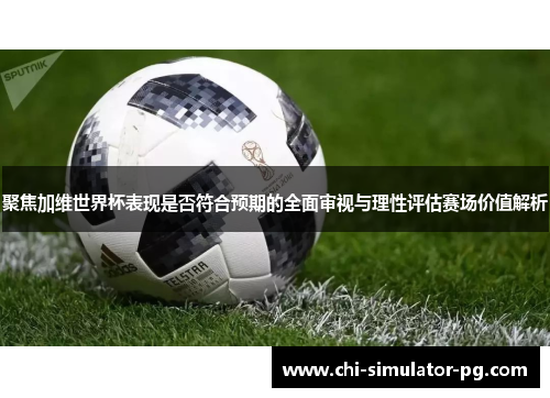 聚焦加维世界杯表现是否符合预期的全面审视与理性评估赛场价值解析 聚焦加维世界杯表现是否符合预期的全面审视与理性评估赛场价值解析